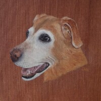 Oil painting of a golden labrador.