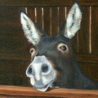 Oil painting of a donkey looking out from a barn.