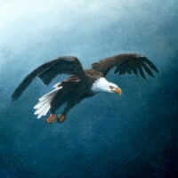 Oil painting of a golden eagle flying through light snow.