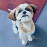 Oil painting of a small dog.