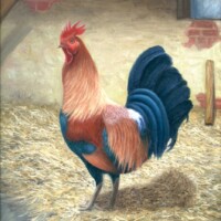 Oil painting of a cockerel in a barn.