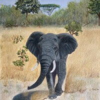 Oil painting of an elephant in Africa,