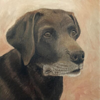 Oil painting of a chocolate labrador.