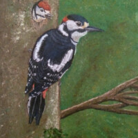 Oil painting of a woodpecker on a tree.