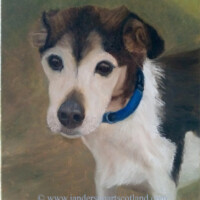 Oil painting of a Jack Russell.