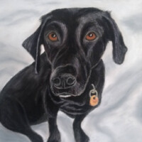 Pastel portrait of a black lab.