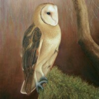 Oil painting of an owl perched on a branch.
