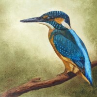 Oil painting of a kingfisher perched on a branch,