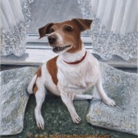 Oil painting of a Jack Russell.