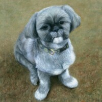 Oil painting of a small dog.