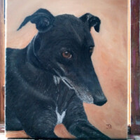 Oil painting of a black greyhound.