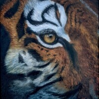 Oil painting close up of a tiger's right eye.