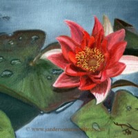 Oil painting of a water lily,