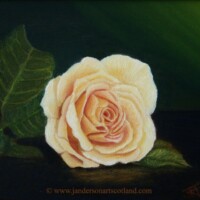 Oil painting of a yellow rose on a table.